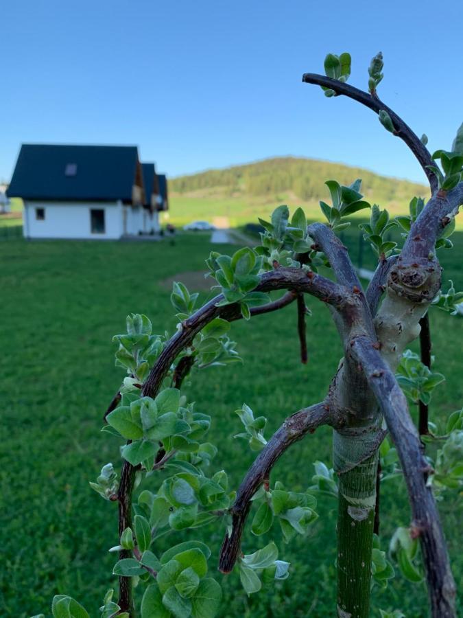 Dobre Miejsce Villa Niedzica Exterior foto