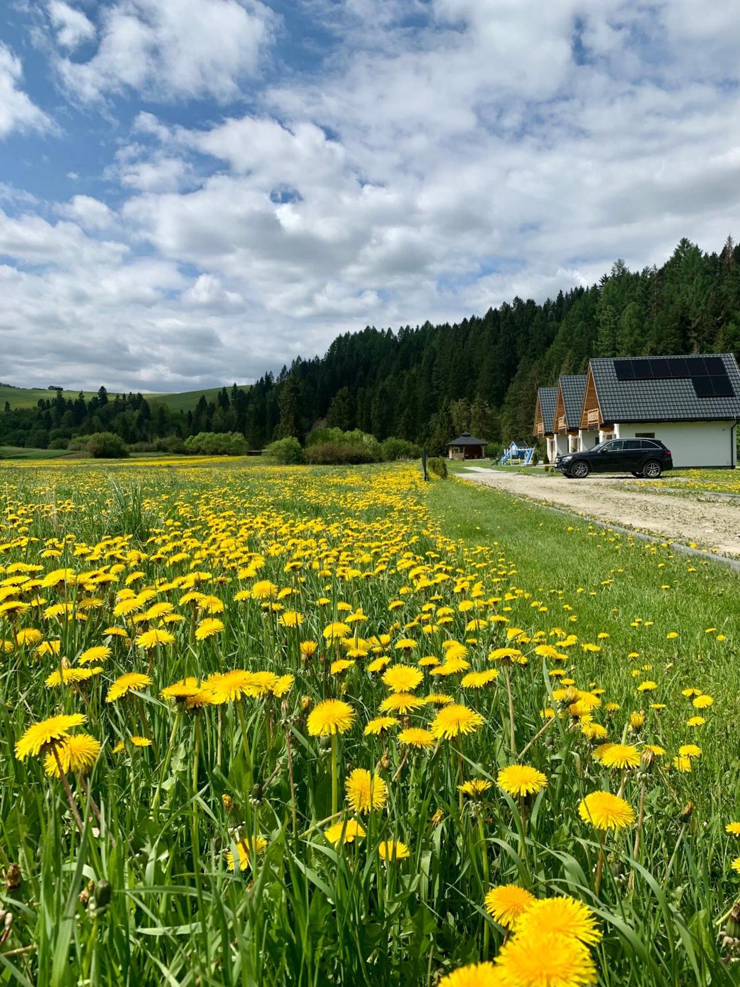 Dobre Miejsce Villa Niedzica Exterior foto