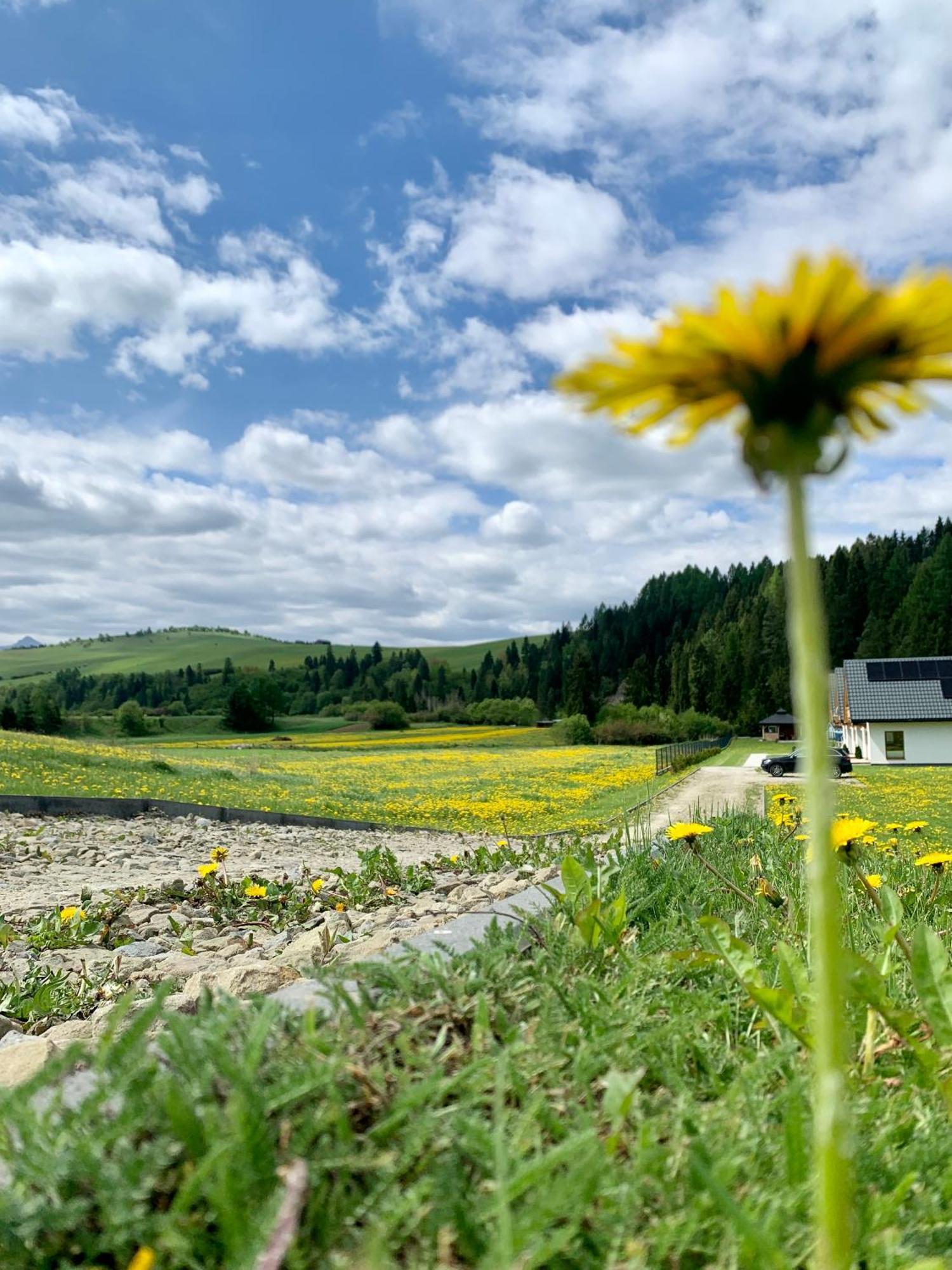 Dobre Miejsce Villa Niedzica Exterior foto